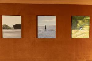 Elie RODET VIDAL - RODET VIDAL ELIE