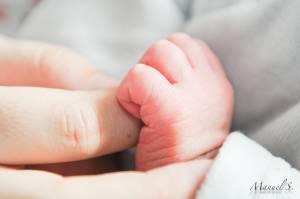 Manuel SUBASIC - CLAP IMAGES